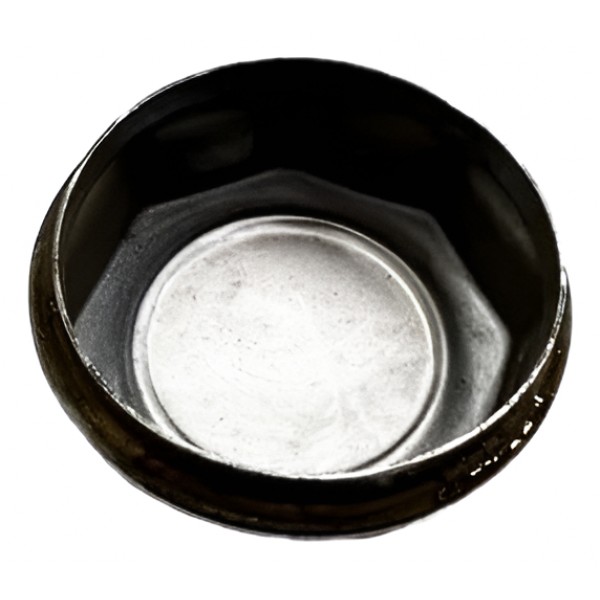 Carlota Centro Miolo Roda De Ferro L200 Triton  Boa